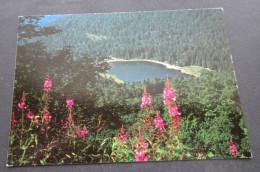 Lac De Blanchemer - Vosges Pittoresques - Editions MAGE, Le Blanc-Mesnil - Epinal