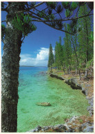 FRANCE - Nouvelle Calédonie - Nouméa - Ile Des Pins - Pins Colonnaires Sur La Côtes Au Vent - Carte Postale - Nouvelle Calédonie
