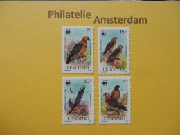 Lesotho 1986, WWF FAUNA BEARDED VULTURE LAMMERGIER: Mi 556-59, ** - Unused Stamps