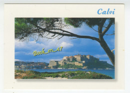 {91698} 20 2B Haute Corse Calvi , Vue Générale - Calvi