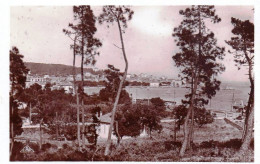 83 - Var -  SAINTE MAXIME  Sur MER -  A Travers Les Pins - Sainte-Maxime