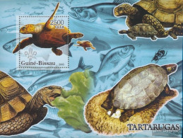 Guinea-Bissau Miniature Sheet 538 (complete. Issue) Unmounted Mint / Never Hinged 2005 Turtles - Guinea-Bissau