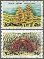 Barbados. 1985 Marine Life. 20c, 25c Used. SG 798B, 799B. M4105 - Barbados (1966-...)