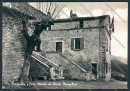 Forlì Predappio Foto FG Cartolina ZF5713 - Forli