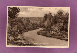 CANNOCK CHASE  CANNOCK - Sonstige & Ohne Zuordnung