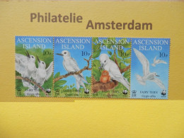 Ascension Island 1999, WWF BIRDS GYGIS ALBA: Mi 786-89, ** - Ongebruikt