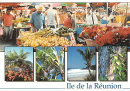 974-ILE DE LA REUNION SAINT PAUL-N°4165-D/0287 - Other & Unclassified