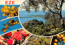 06-EZE-N°4166-A/0141 - Eze