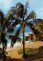 971-GUADELOUPE PLAGE DE FERRY-N°4168-A/0017 - Sonstige & Ohne Zuordnung