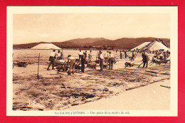 F-83-Hyeres-20P110  Les Salins, Une Phase De La Récolte Du Sel, Animation, BE - Hyeres