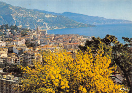 06-MENTON-N°4169-B/0281 - Menton