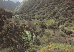 974-ILE DE LA REUNION COMMUNE DE L ENTRE DEUX-N°4170-A/0163 - Otros & Sin Clasificación