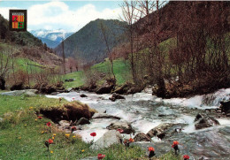 ANDORRE - Valls D'Andorra -Vall D'Arinsal I Riu Arinsal - Vallée D'Arinsal Et Fleuve Arinsal - Carte Postale - Andorre