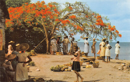 972-MARTINIQUE MARCHE EN PLEIN AIR-N°4173-A/0395 - Autres & Non Classés