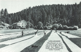 88-GERARDMER-N°4173-D/0225 - Gerardmer