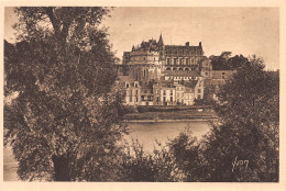 37-AMBOISE LE CHATEAU-N°4173-G/0275 - Amboise