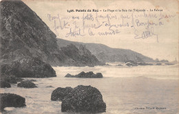 29-LA POINTE DU RAZ-N°4174-D/0381 - La Pointe Du Raz