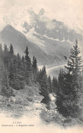 74-CHAMONIX-N°4174-D/0207 - Chamonix-Mont-Blanc