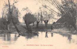 89-SEIGNELAY-N°4175-C/0077 - Seignelay