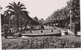 SANTANDER  Jardins De Pereda. - Cantabrië (Santander)