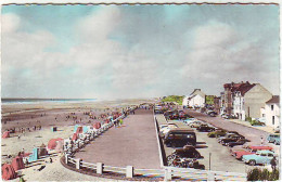 80 - CPA Couleur - N° 2512 QUEND PLAGE LES PINS - Quend