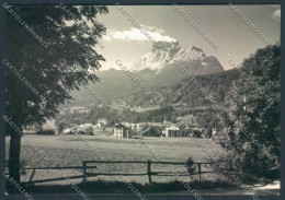 Belluno San Vito Di Cadore Foto FG Cartolina ZF8445 - Belluno