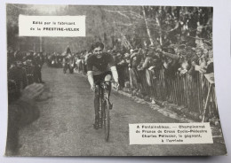 Carte Publicitaire - Cyclisme Fontainebleau Championnat France Cyclo-pédestre- Laboratoires Prestie-Velox - Cyclisme