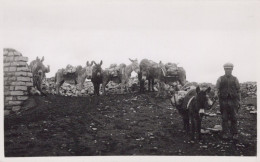 ESEL Tiere Kinder Vintage Antik Alt CPA Ansichtskarte Postkarte #PAA136.A - Donkeys
