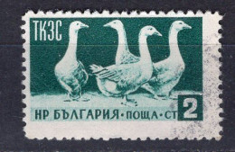 L0706 - BULGARIE BULGARIA Yv N°806 - Usados