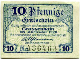 10 PFENNIG 1920 Stadt GROSSENHAIN Saxony DEUTSCHLAND Notgeld Papiergeld Banknote #PL610 - [11] Local Banknote Issues