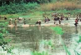 GABON - Images Du Gabon - Scène De Pêche En étang - Animé - Carte Postale - Gabón
