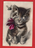 H S    CAT WITH GLASS EYES  LARGE PINK BOW   +  BEE RP  NOVELTY  - Chats