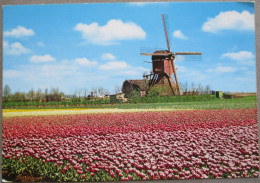 HOLLAND NETHERLANDS LAND OF FLOWERS BLOEMENLAND POSTCARD CARTOLINA ANSICHTSKARTE CARTE POSTALE POSTKARTE CARD - Andere & Zonder Classificatie