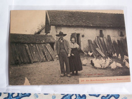 CPA  LE  BOURBONNAIS  --  COIN  DE  BASSE  COUR - Collezioni E Lotti