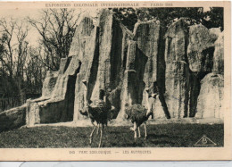 185 Exposition Coloniale Internationale 1931 Parc Zoologique  Les Autruches - Ausstellungen