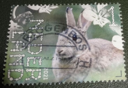 Nederland - NVPH - Xxxx - 2021 - Gebruikt - Beleef De Natuur - Konijn - Used Stamps