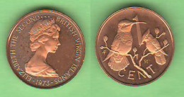 British VIRGIN Islands ONE CENT 1973  UNC Isole Vergini Britanniche Îles Vierges Britanniques - Iles Vièrges Britanniques