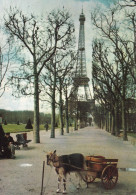 Voiture A Charrette Tirée Par Une Chevre Devant La Tour Eiffel - Petits Métiers à Paris