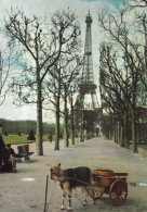 Voiture A Charrette Tirée Par Une Chevre Devant La Tour Eiffel - Artesanos De Páris