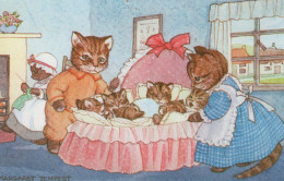 CAT KITTY Animals Vintage Postcard CPA #PKE758.GB - Chats