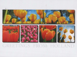FLOWERS Vintage Postcard CPSM #PBZ038.GB - Flowers