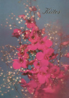 FLOWERS Vintage Postcard CPSM #PAR150.GB - Flores