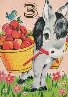 CABALLO Animales Vintage Tarjeta Postal CPSM #PBR900.ES - Caballos