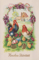 PÂQUES POULET ŒUF Vintage Carte Postale CPA #PKE068.FR - Pâques