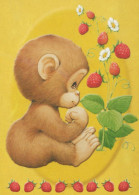 SINGE Animaux Vintage Carte Postale CPSM #PBR980.FR - Singes