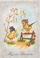 PÂQUES POULET ŒUF Vintage Carte Postale CPSM #PBO688.FR - Pâques