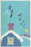 OISEAU Animaux Vintage Carte Postale CPSM #PAM762.FR - Uccelli