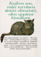 CHAT CHAT Animaux Vintage Carte Postale CPSM Unposted #PAM072.FR - Gatos