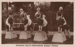 BURRO Animales Vintage Antiguo CPA Tarjeta Postal #PAA186.ES - Donkeys
