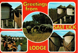 *CPM - KENYA - TSAVO - Salt Lodge - Hôtel - Multivue - Kenia